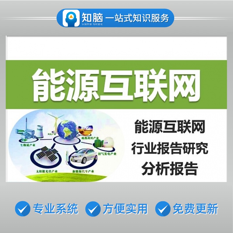 能源互联网行业报告研究分析报告分布式微电网储能电力产业链培训资料