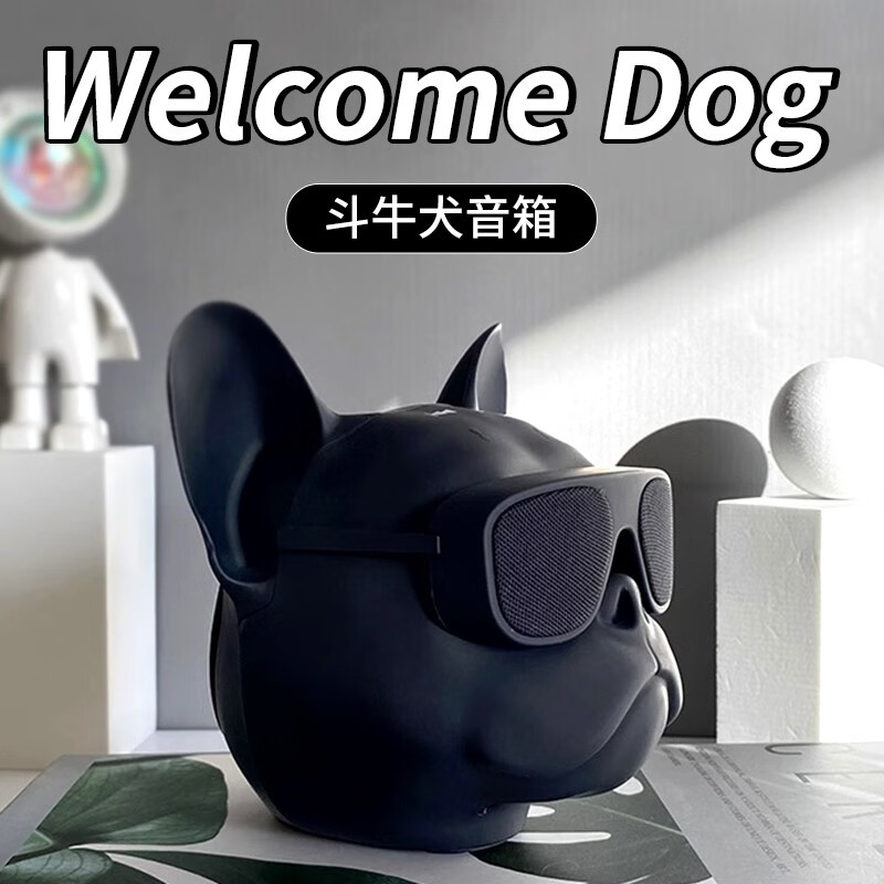 添祺蓝牙音箱音响520情人节生日礼物男生送男朋友兄弟纪念日黑科技情侣礼物送男友高级感小礼品 磨砂黑色