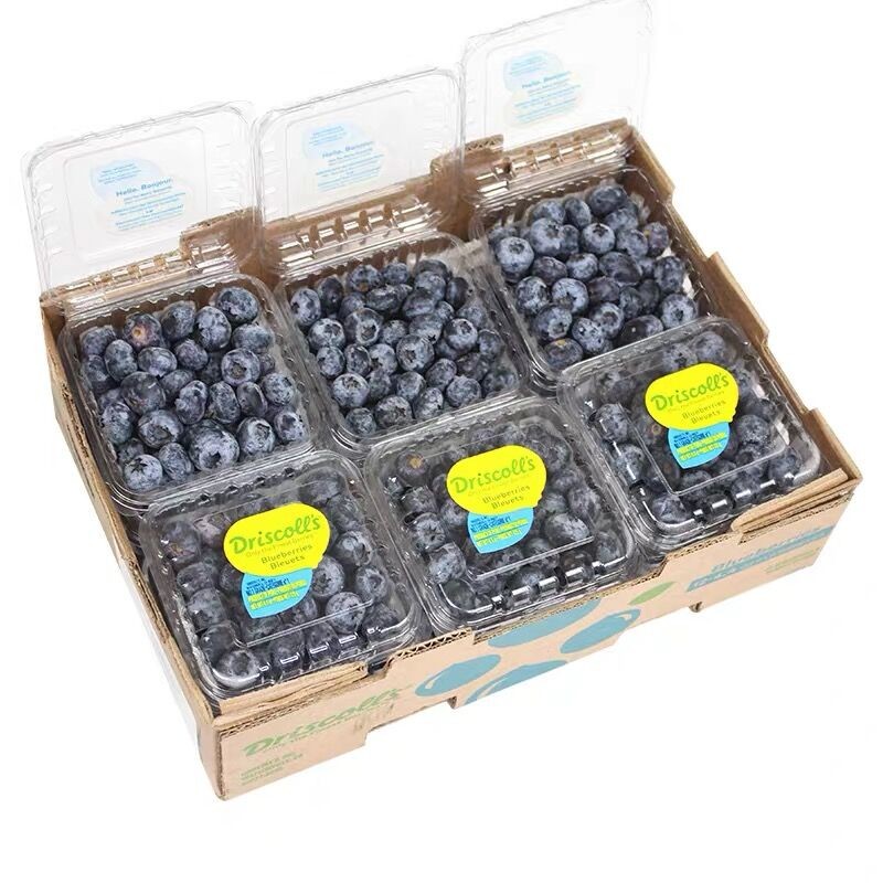 【顺丰配送】怡颗莓大果新鲜蓝莓500g生鲜新鲜水果宝宝辅食京东 怡颗莓4盒/125g大果