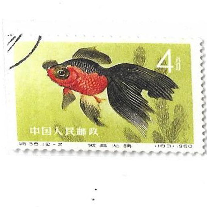 特39 特40 特41 特42 盖销单枚系列邮票 特38 金鱼邮票12-2