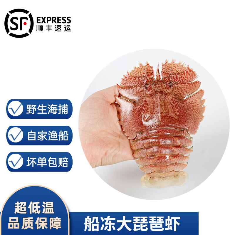 沢素湾琵琶虾 九齿扇虾 虾姑排 超低温船冻冷冻深海海虾 5斤家庭装