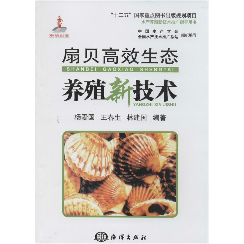 扇贝高效生态养殖新技术