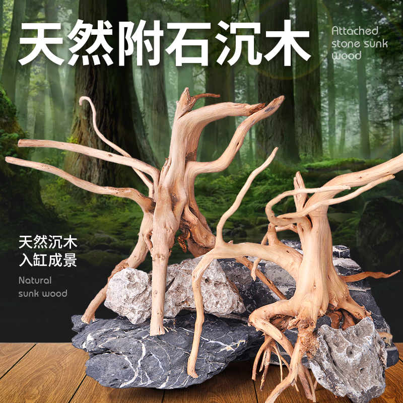 玩家宝贝鱼缸造景素材 水草缸骨架鱼缸装饰造景青龙石沉木石头成品 附