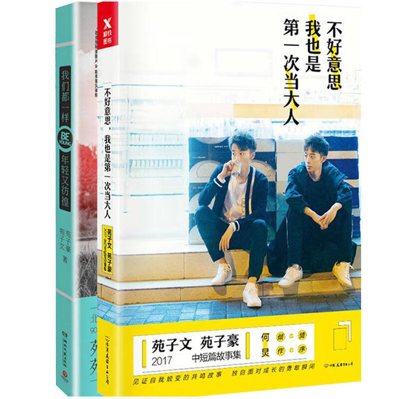 苑子文 苑子豪的书全集全套正版套装2册 不好意思我也是次当大人 我们