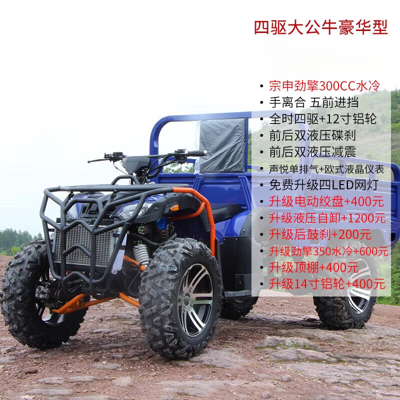 賽普迪大公牛沙灘車(chē)燃油四輪越野摩托車(chē)成人雙人汽油全地形山四驅(qū)農(nóng)用 四驅(qū)大公牛/300水冷/全時(shí)四