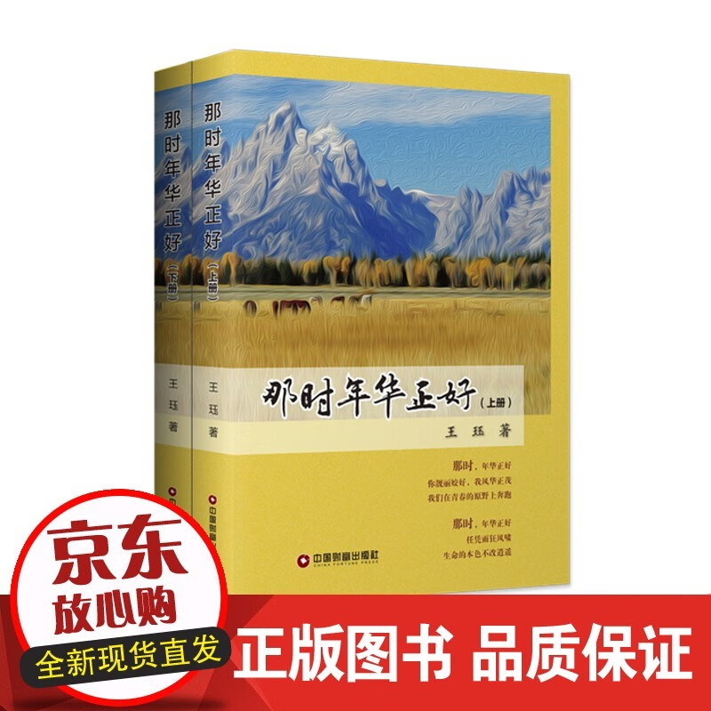 那时年华正好(全2册) 小说 王珏 中国财富出版社 【速发】