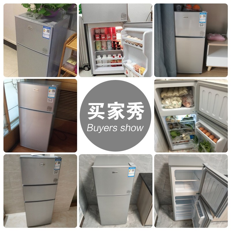 日普（RIPU） 双门小冰箱 小型迷你家用宿舍租房电冰箱冷藏冷冻一级节能省电 一级能效【加厚保温】42L银