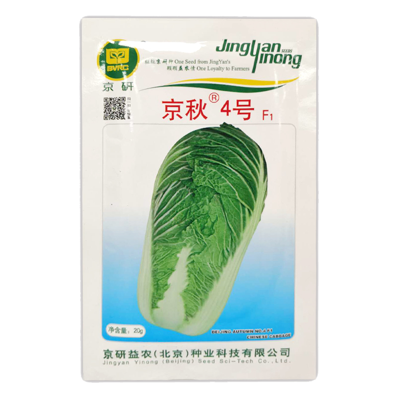 京農(nóng)研大白菜種子青麻葉紹菜娃娃菜金絲白快菜油菜上海青雞毛菜蔬菜籽孑 京秋4號20克