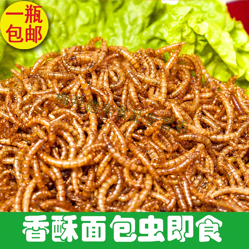 梦信油炸香辣面包虫即食熟食黄粉虫美味虫子一罐120g  人食