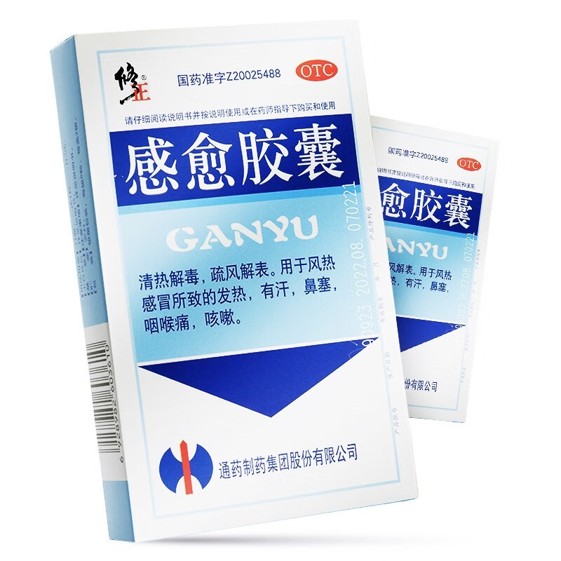 4g*12粒 风热感冒 清热解毒 鼻塞咳嗽 喉咙痛感冒药 1盒