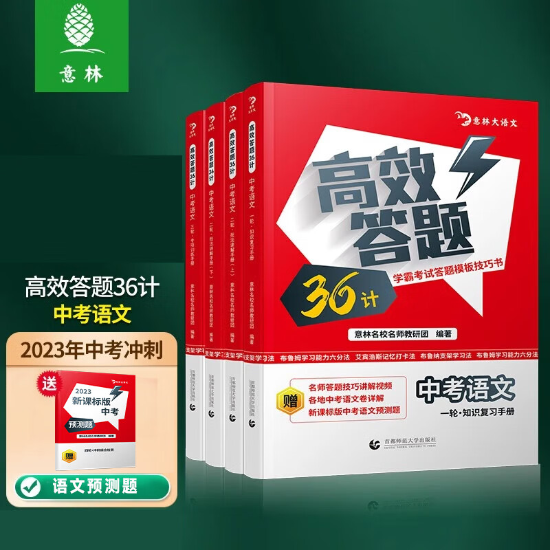 意林高效答题36计 小升初中考语文知识复习 技法讲解 专项训练手册 赠23年新课标版语文预测题58个 高效答题36计【中考语文】
