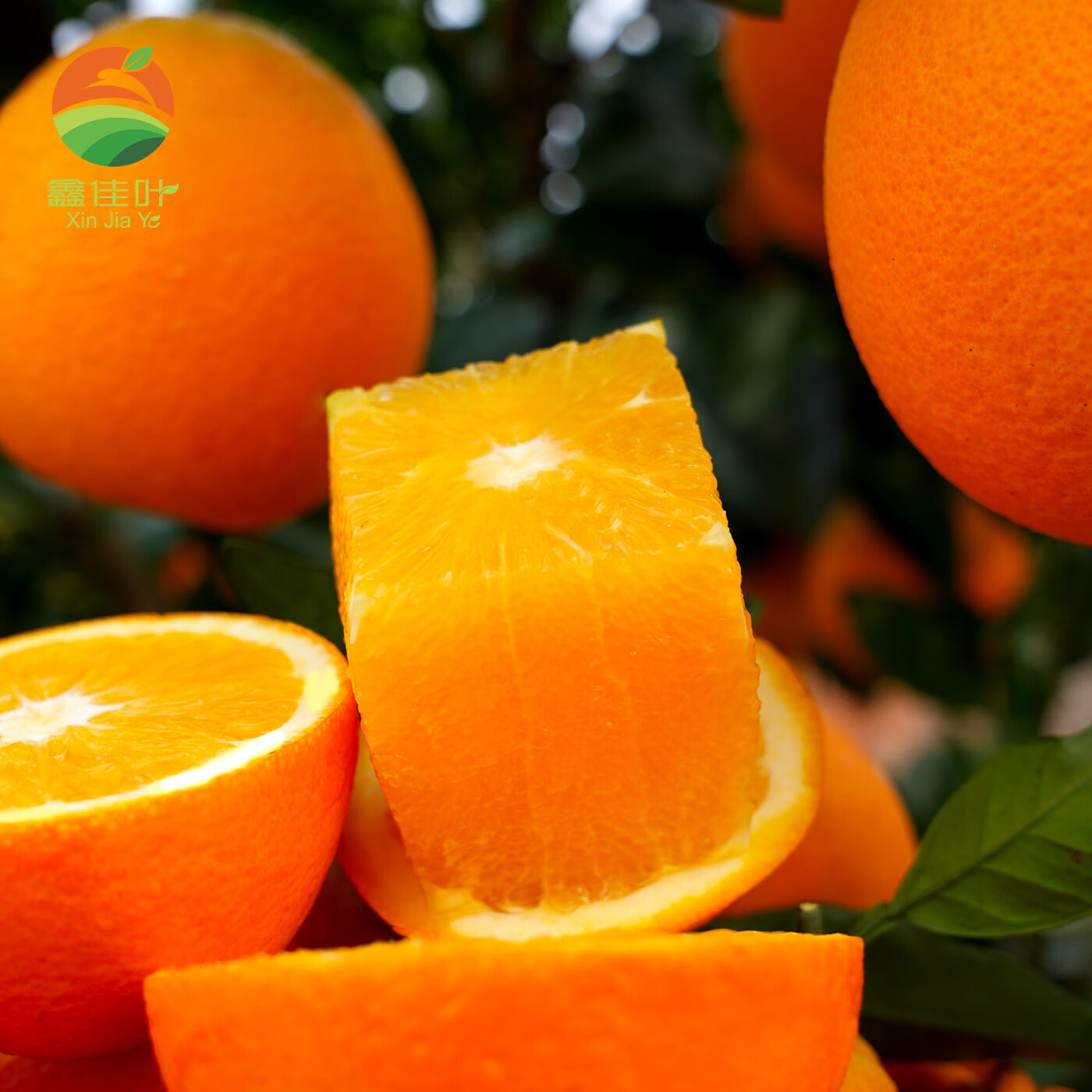 鑫佳叶（xingjiaye）湖南纽荷尔脐橙 新鲜橙子 中果 65-70mm 4.5斤