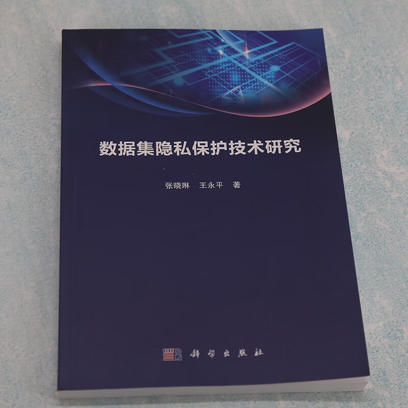 数据集隐私保护技术研究详情图