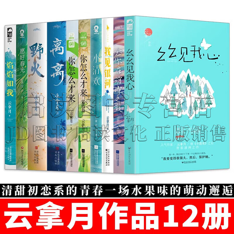 云拿月作品12册 幺幺见我心(十三幺)/念你在璀璨之巅/我见银河/你怎么