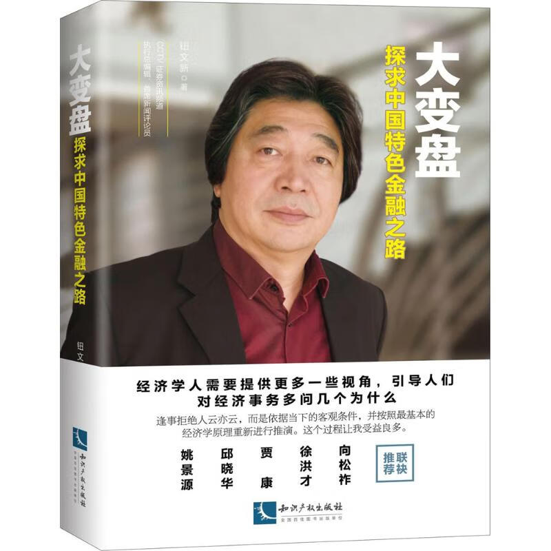 大变盘 钮文新 书籍