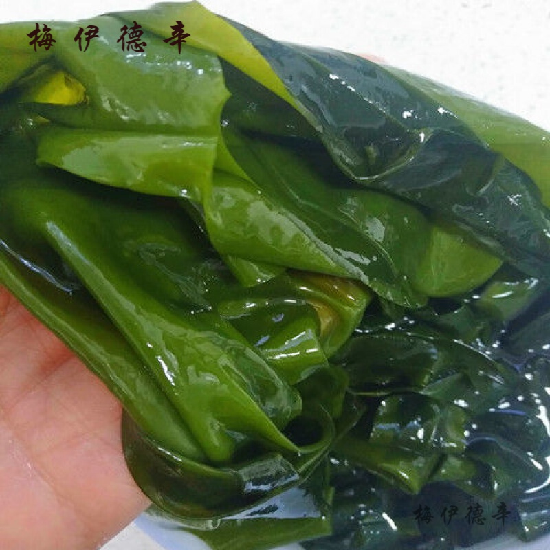 梦信新鲜盐渍裙带菜叶海芽菜烫三秒海白菜长寿菜脱水裙带芽凉拌火锅菜