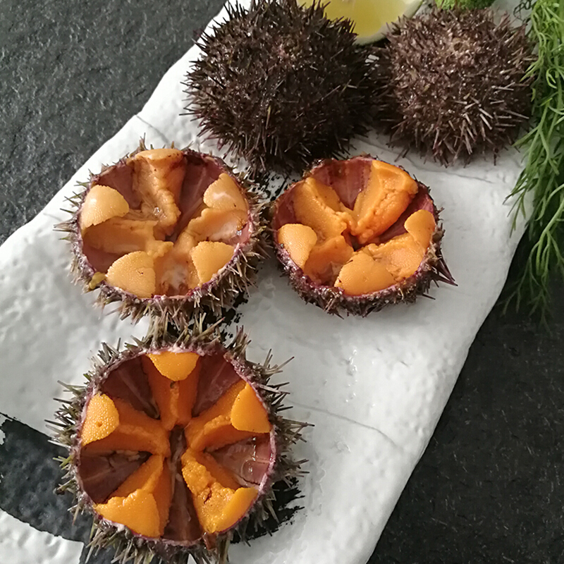 宜享健康大连刺锅黄金虾夷黄胆小平岛海新鲜紫胆即食刺身鲜活马粪海胆