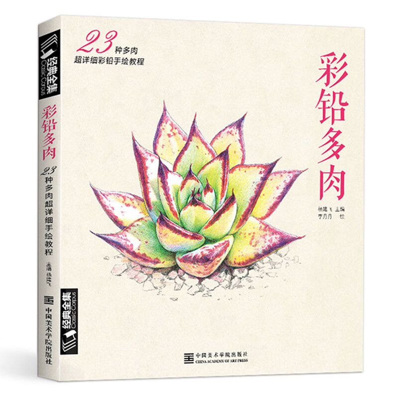 《彩铅多肉》植物手绘画入门临摹教程书籍彩色铅笔自学温情约绘素描