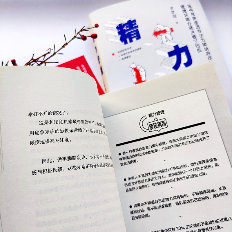 精力管理（在信息焦虑而专注力稀缺的年代，管理好精力就占据了先机）详情图