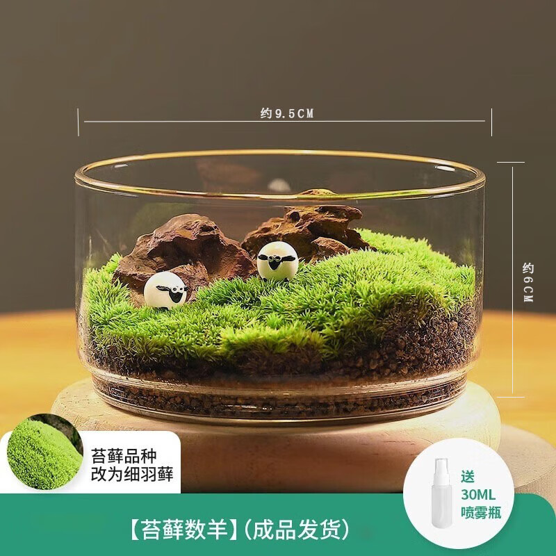 ��������̦޺΢������̬ƿ˽�˲�ƺ�����������԰칫�Ҵ����ʦ���������� ����Ʒ��̦޺���� 94.5Ԫ��5��(��18.9Ԫ/��)