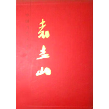 袁志山-中国当代名家画集