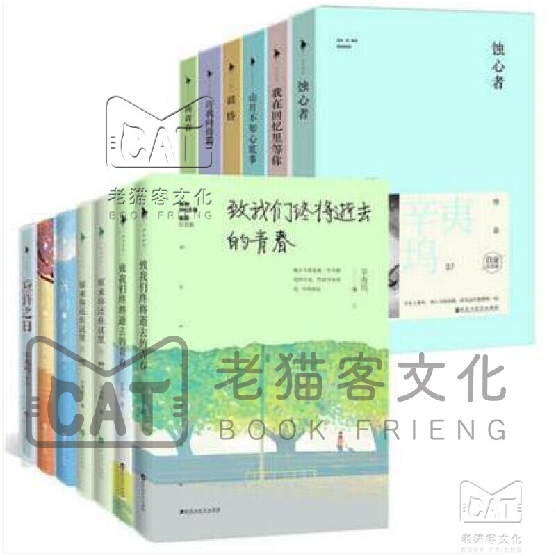 辛夷坞作品(共17册)我们 抚生·孤暮朝夕 应许之日 再青春 许我向你看