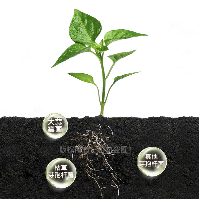 草原乐羊纯羊粪发酵有机肥料蔬菜盆栽果树农家肥营养土花肥通用肥料 [新店开业]6斤亏本冲量