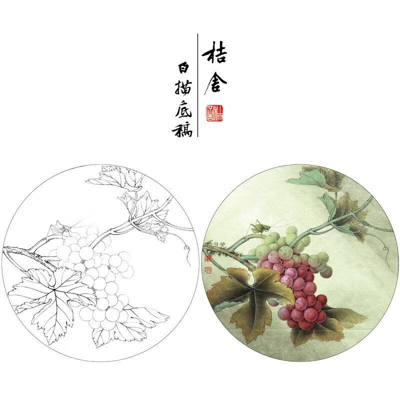 桔舍李晓明工笔画白描底稿葡萄蝈蝈圆形小品原作大小35×35厘米花鸟