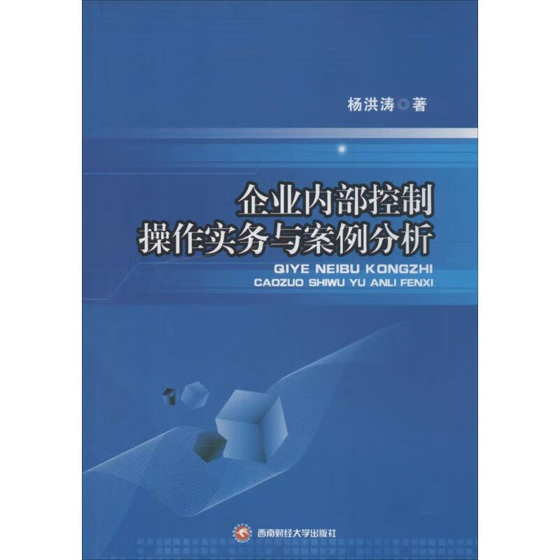 正版 企业内部控制操作实务与案例分析 洪 经济/智能经济