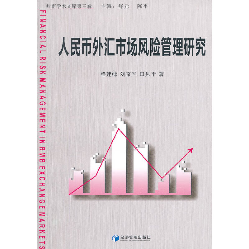 人民币外汇市场风险管理研究