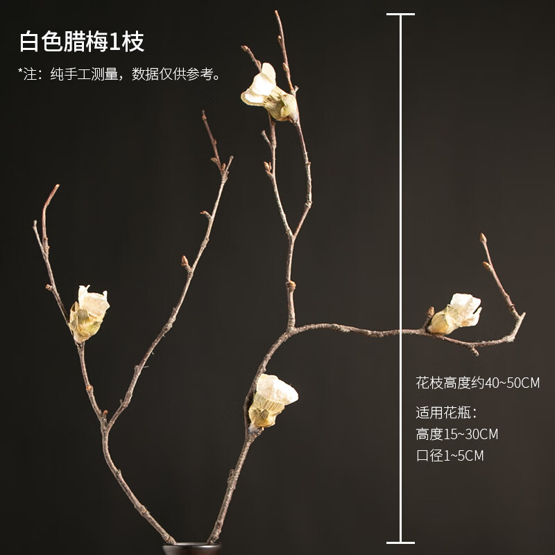 xmsj腊梅干枝艺术摆件旺财干花花束客厅摆设梅花天然真花树枝树干装饰