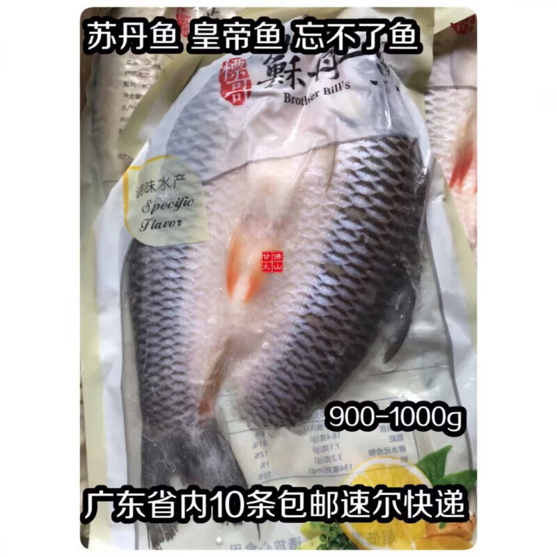 腌制开背冷冻苏丹鱼皇帝鱼忘不了淡水鱼900-1000g