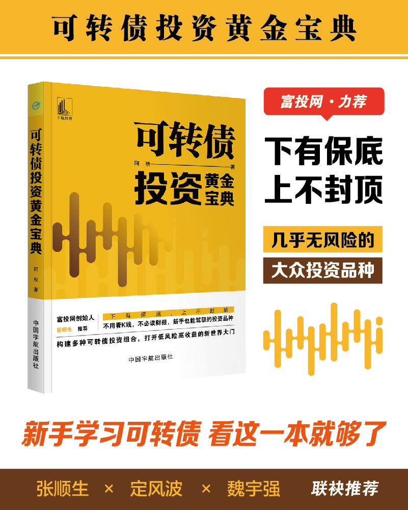 可转债投资黄金宝典 富投网推荐 (新手投资者学习可转债投资组合的第一本入门书 打开低风险高收益的大门)