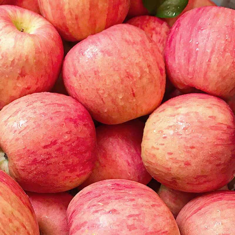 【精选S级】烟台红富士苹果梨当季水果冰糖心现摘现发苹果水果批发水果新鲜5 净重10斤(20-24个)精果