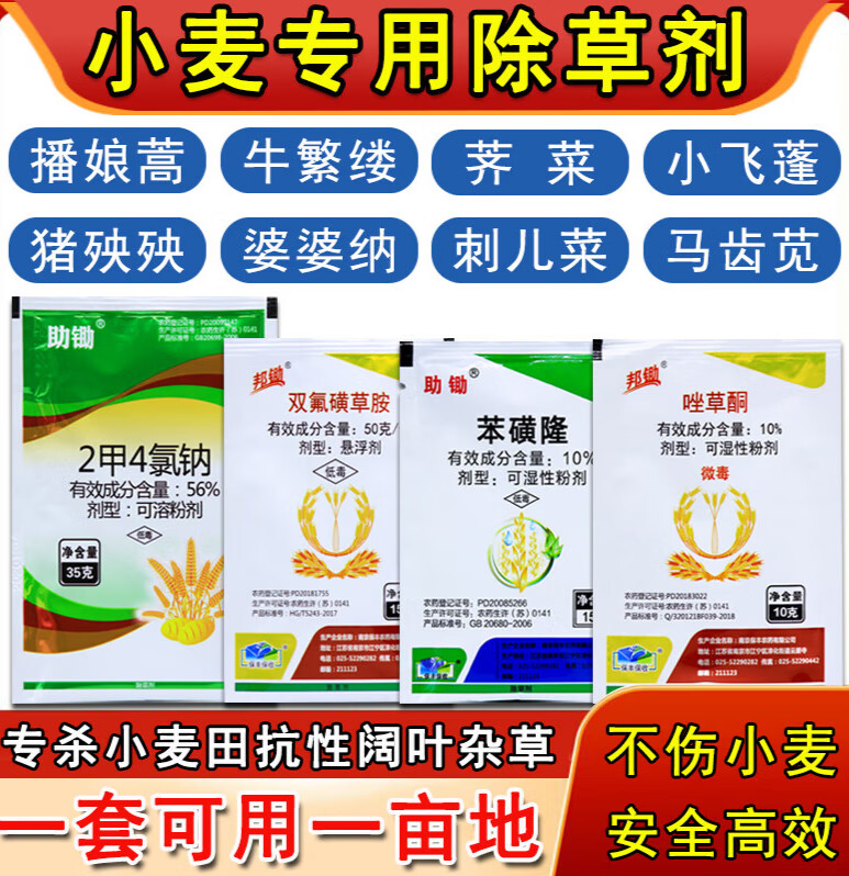 炔草酯小麦除草剂麦田苗后茅草野燕麦棒头草稗草看麦娘专用 50g(禾本