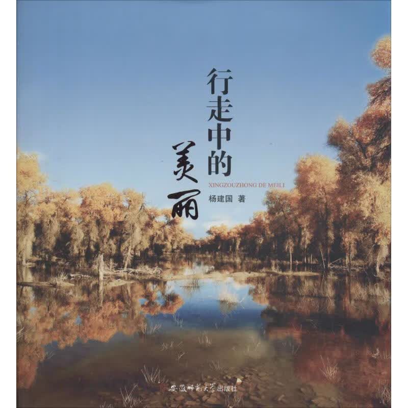 行走中的美丽 杨建国  书籍
