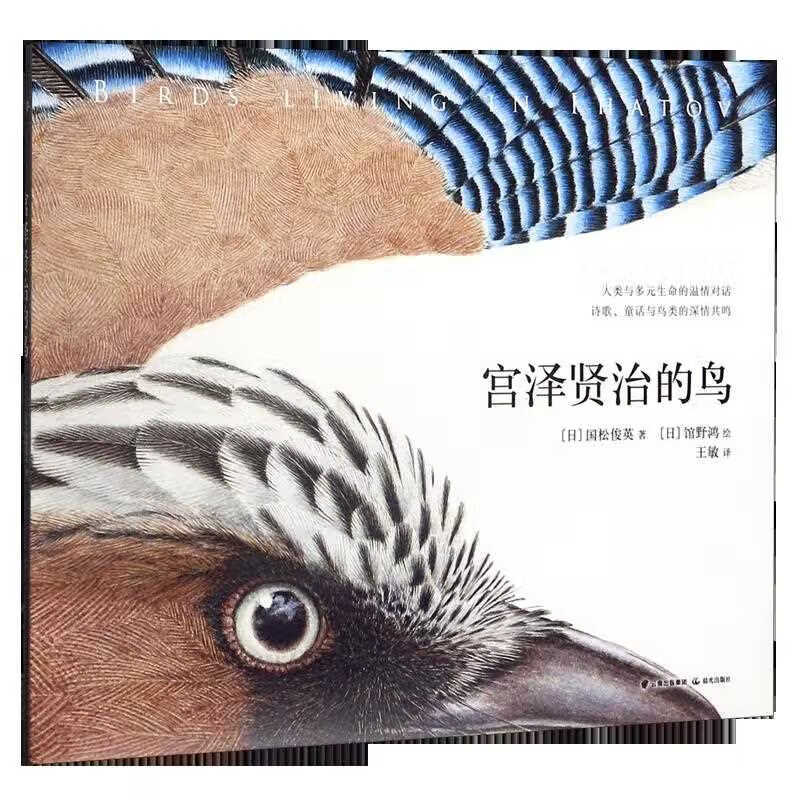【新华书店】宫泽贤治的鸟(精)