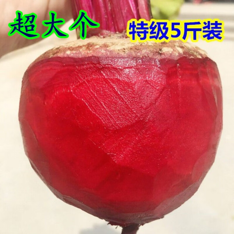 y甜菜根新鲜甜菜头红心萝卜蔬菜农产品紫菜头红甜菜红根菜 5斤大果 普选 炒菜凉拌