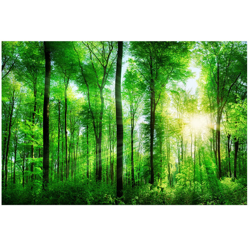 阳光森林树林树木大自然风景绿色护眼画客厅背景墙自粘贴纸装饰画 图1