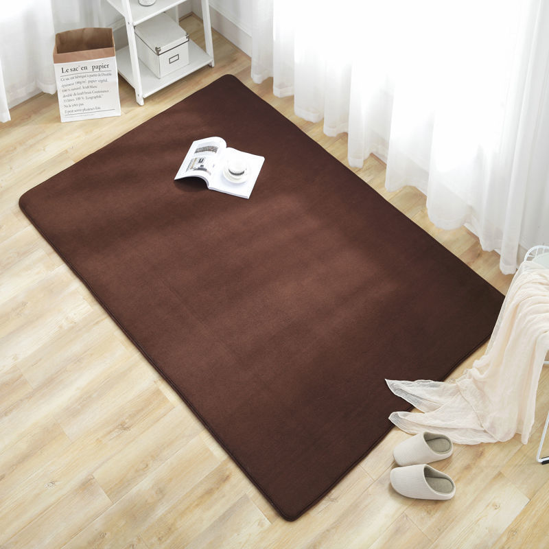 北欧地毯简约现代卧室满铺可爱客厅茶几沙发榻榻米床边可定制 加厚珊瑚绒咖啡色 0.8*1.6米(床边毯)