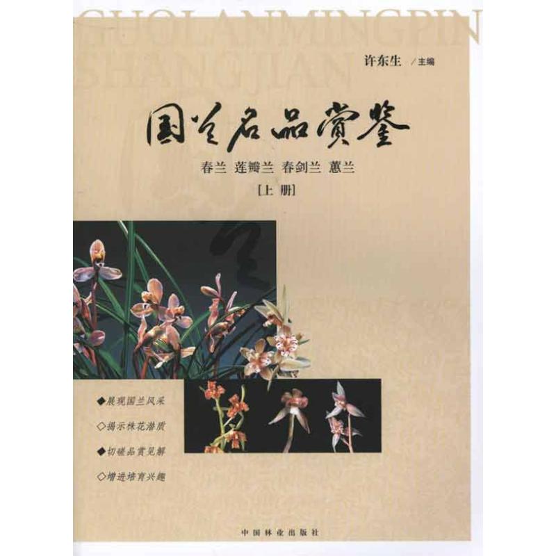 国兰名品赏鉴(上册) 许东生 主编 书籍