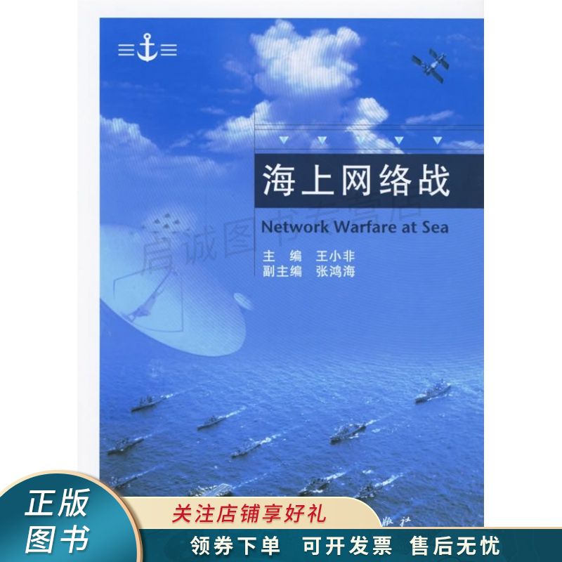 海上网络战