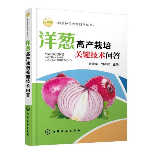 洋葱高产栽培关键技术问答