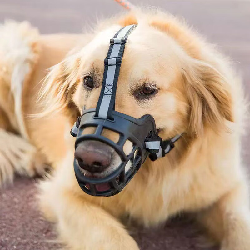 亲卫（QIWEE）狗嘴套防咬透气大型犬防叫狗口罩中小型犬止吠器防乱吃宠物用品高性价比高么？