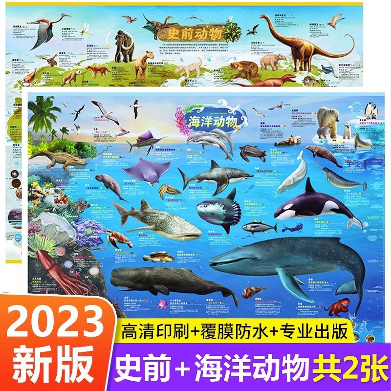 北斗地图2张 中国地图和世界地图挂图20