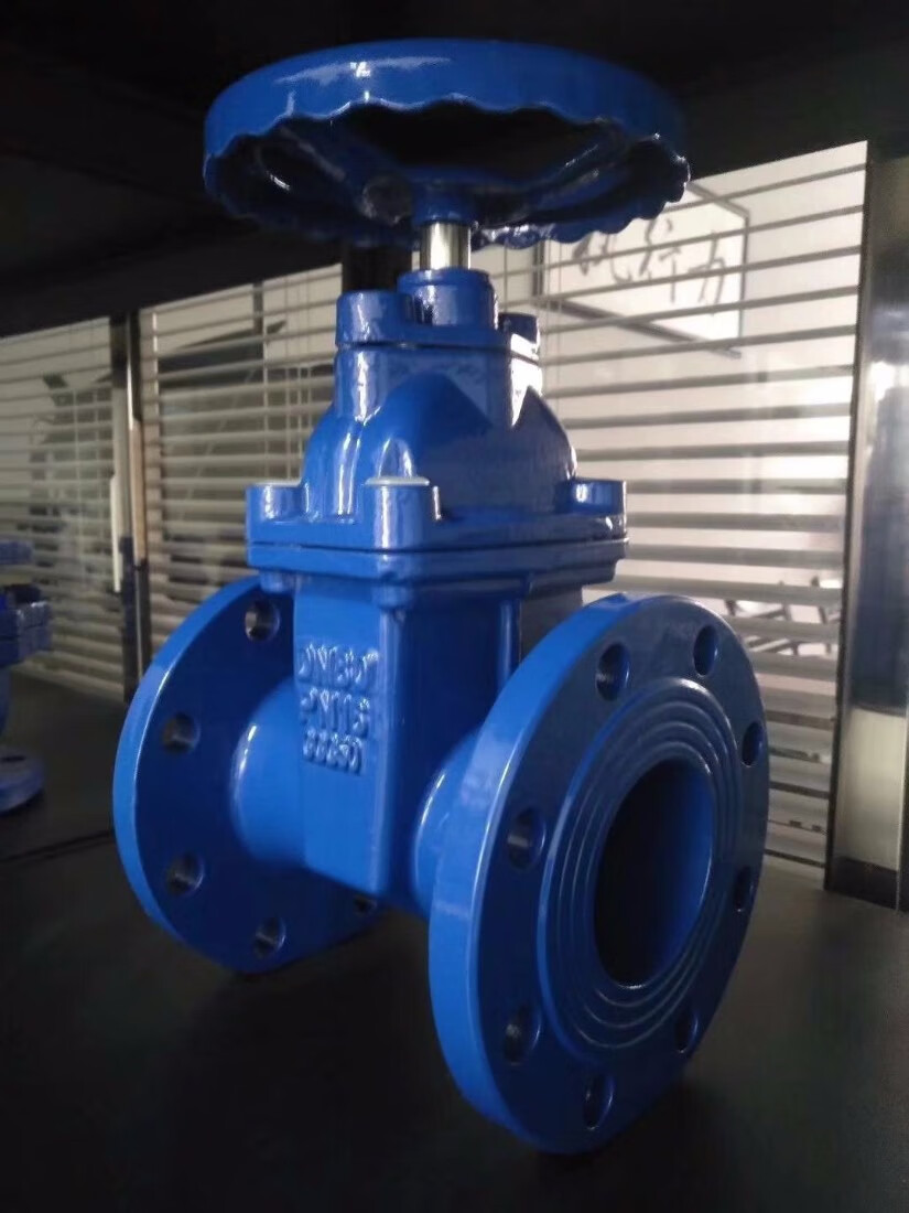 天颛z45x暗杆软密封弹性座封消防污水闸阀法兰阀门dn65080100150200