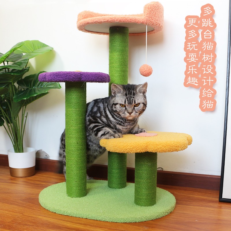 贝尼宠猫爬架3个多月的猫猫能用吗？