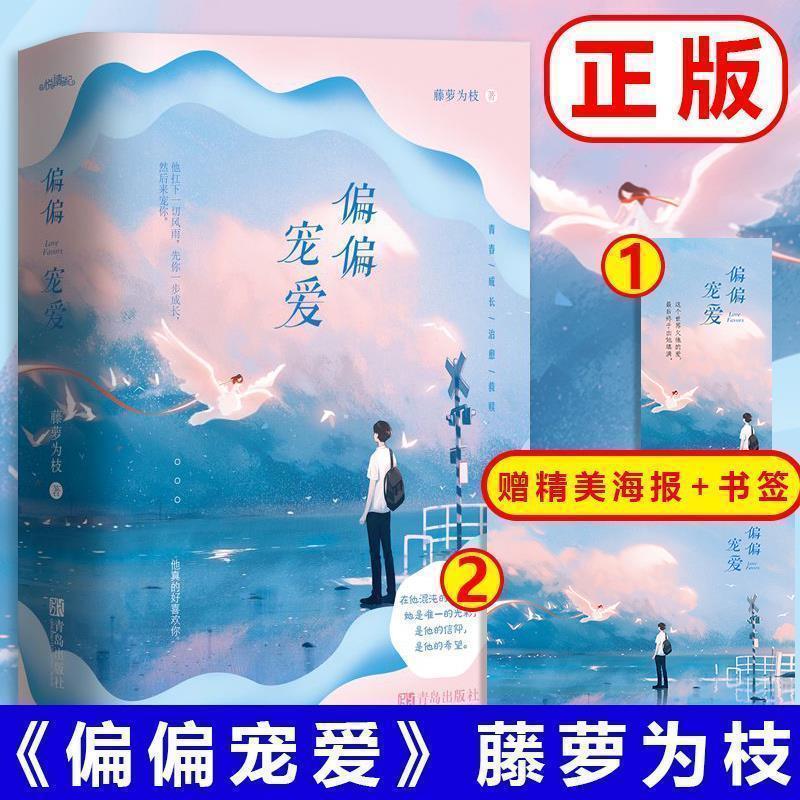 偏偏宠爱 实体书小说 上下册全周边 青春言情小说藤萝为枝著 偏偏宠爱