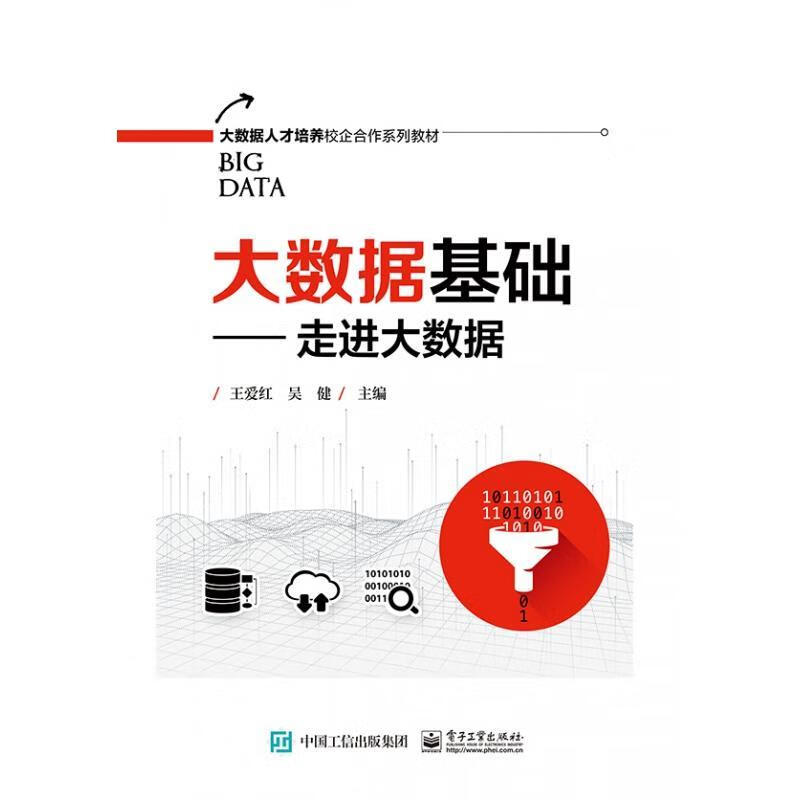 大数据基础――走进大数据 王爱红 著【正版】