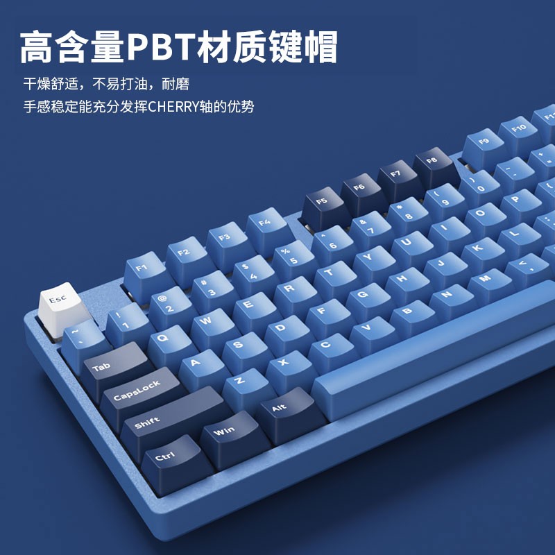 AKKO 3098 DS 海洋之星 机械键盘 有线键盘 游戏键盘 电竞 98键 全尺寸 无光 吃鸡键盘 AKKO V2橙轴